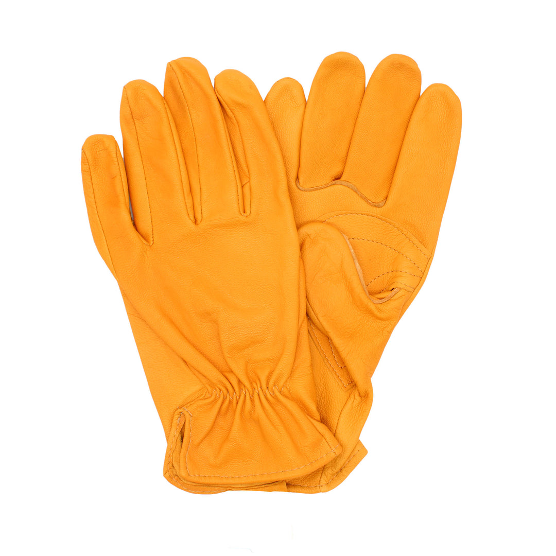 Orange gloves on a white background