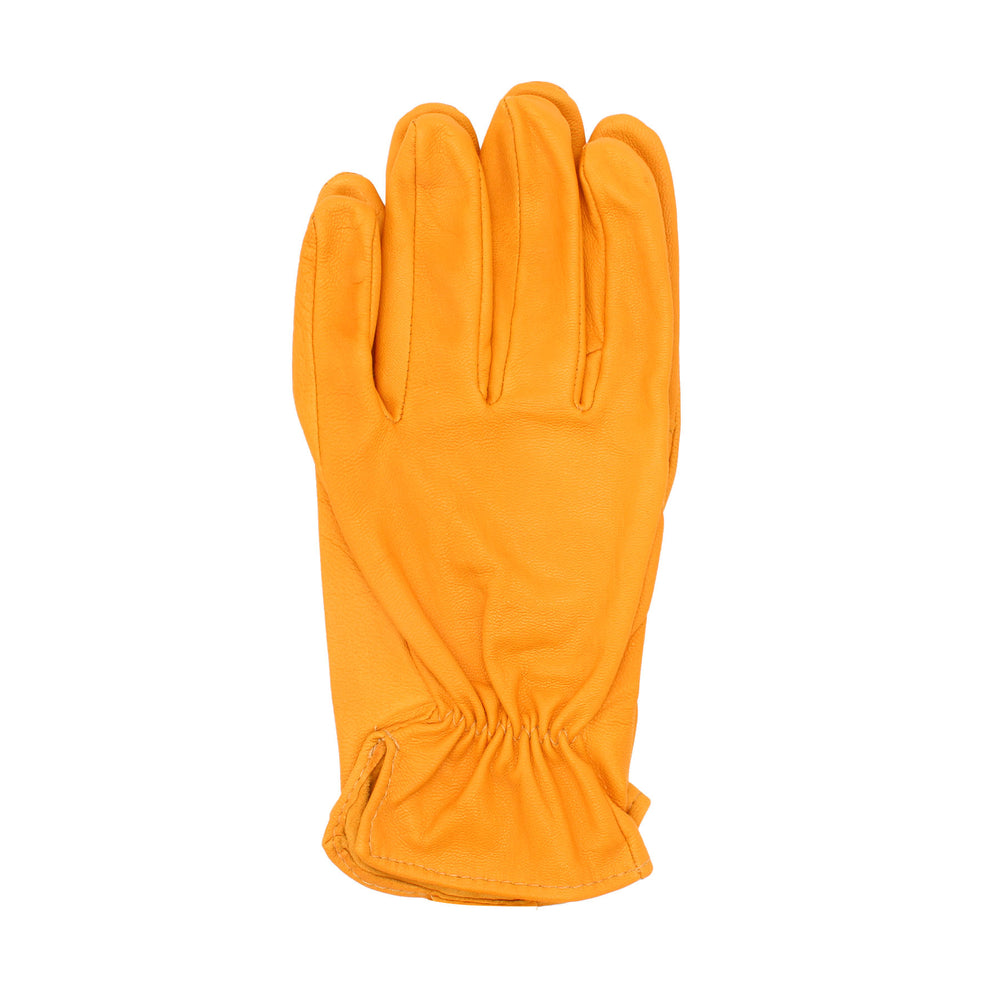 Orange glove on a white background