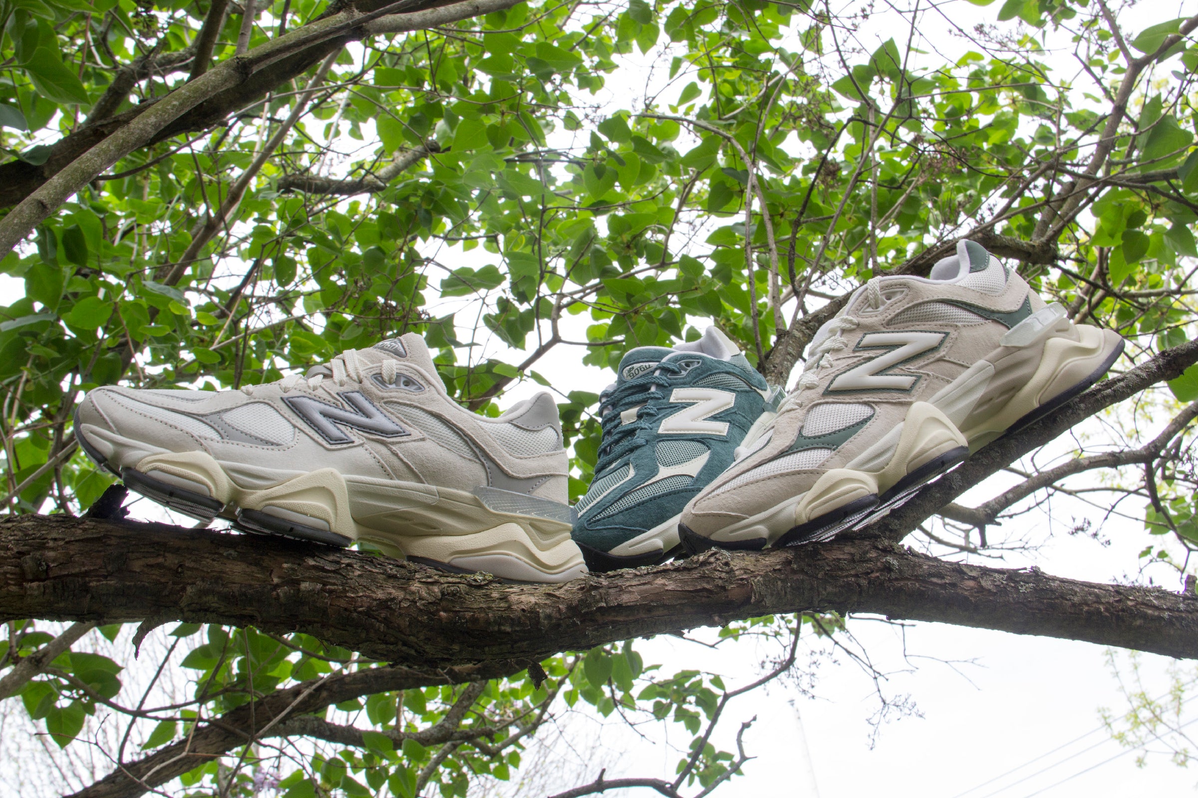 New Balance 9060 sneakers sitting on a tree branch. There are three shoes of different colours on the tree. There are leaves in the background.