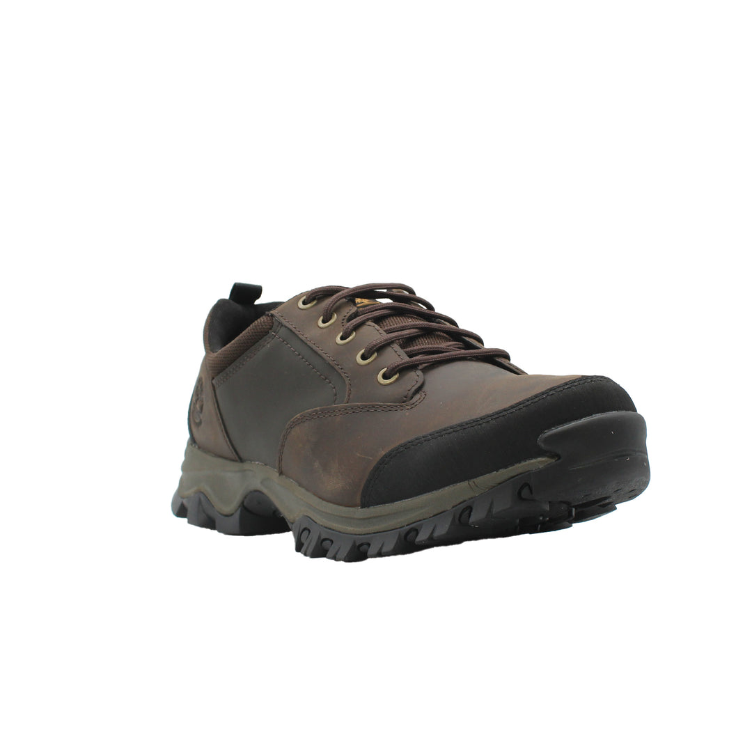 Brown and black hiking shoe on a white background